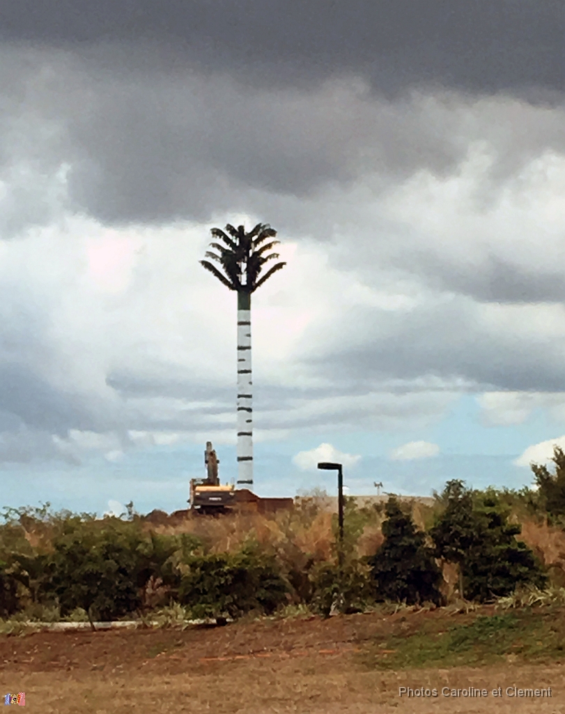 Ile Maurice Novembre 2016 9.jpg - Ile Maurice - Novembre 2016.